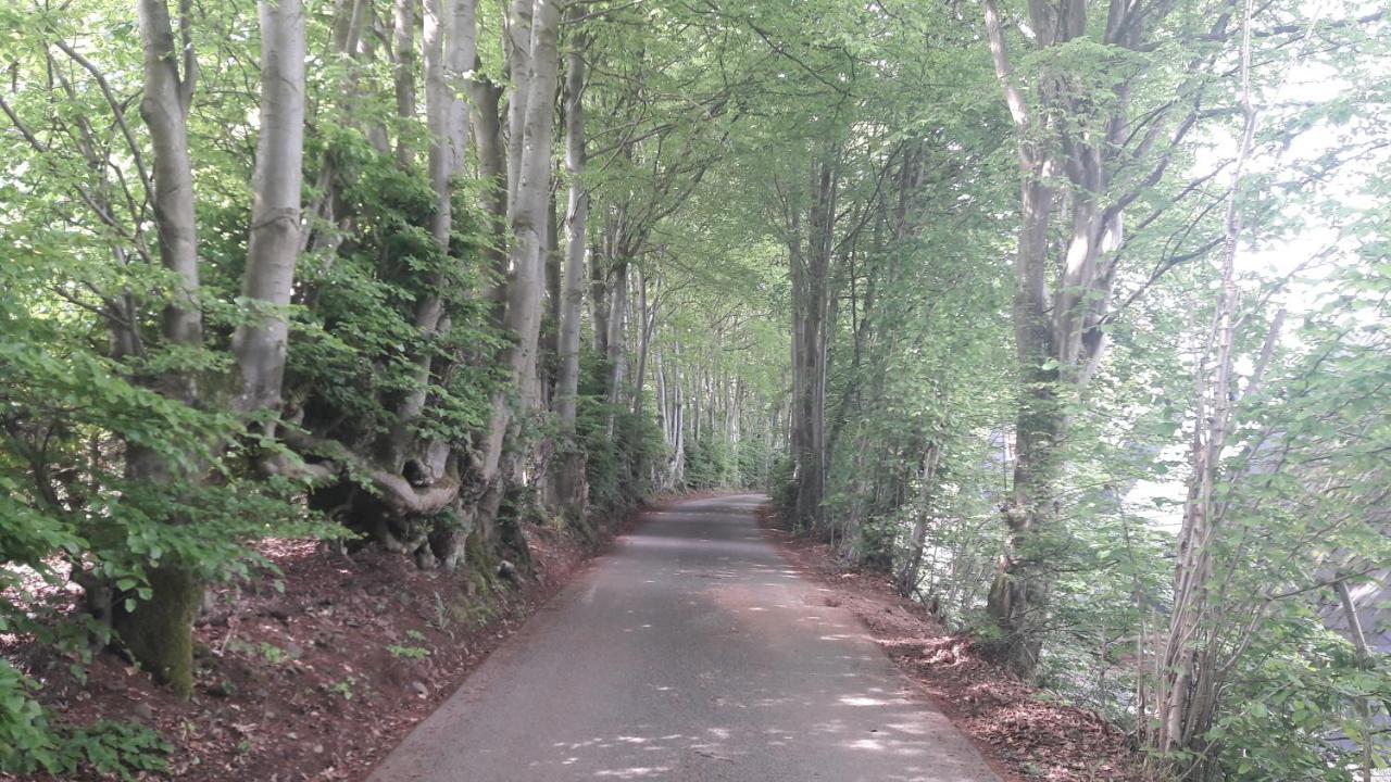 Terrasses De Malmedy H&H Lejlighed Eksteriør billede